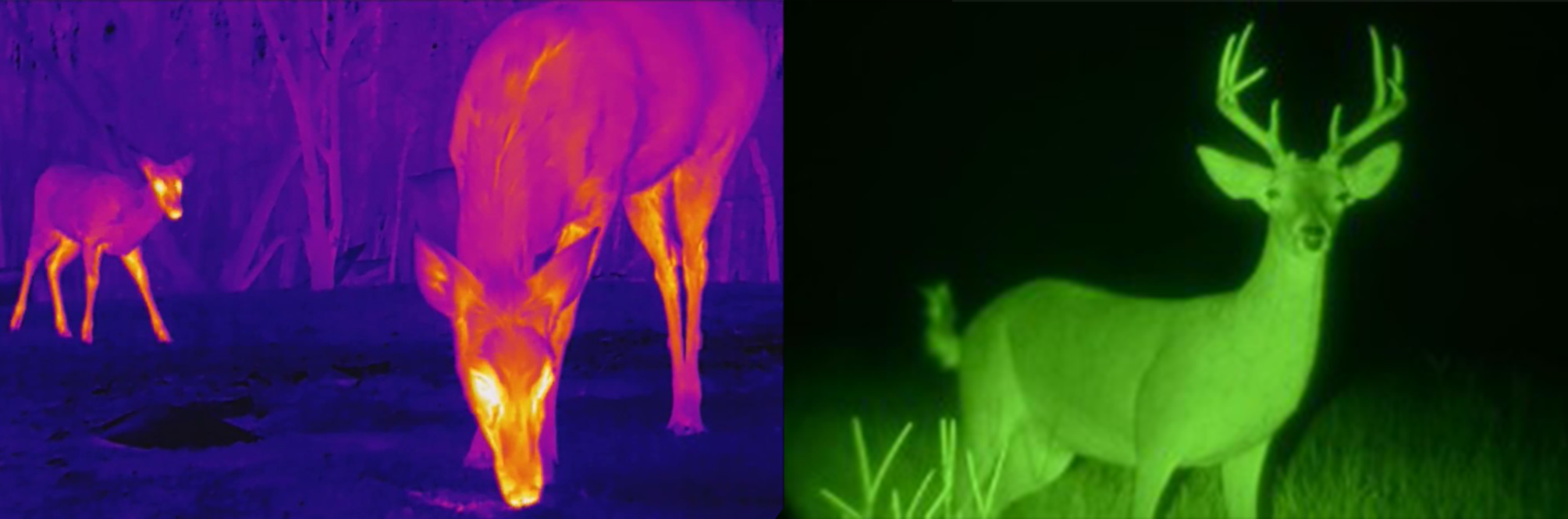 Night Vision vs. Thermal Imaging: Understanding the Differences